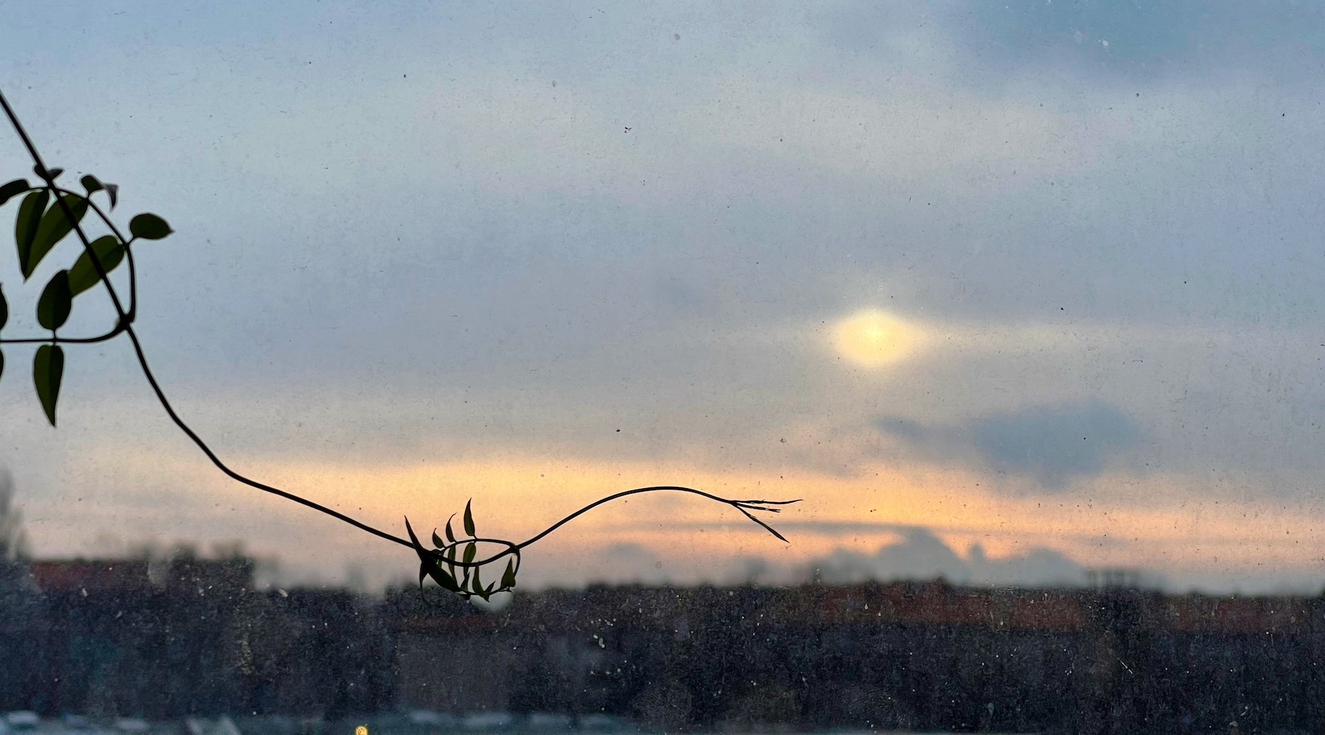 The sun in Berlin during winter