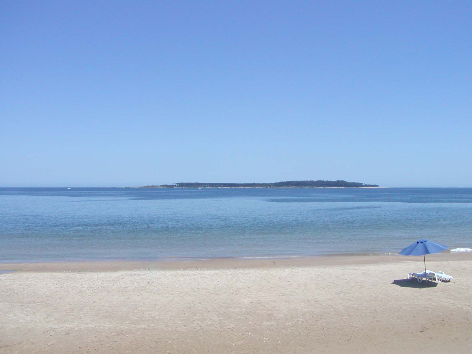 View of Punta del Este beach with Gorriti Island in the background