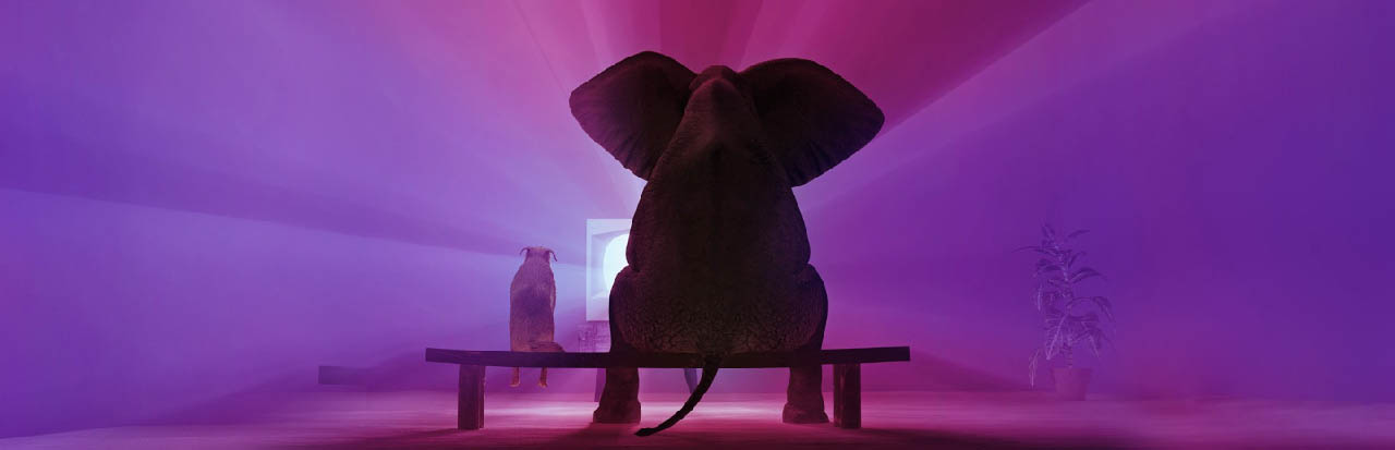 Elefante y perro sentados juntos viendo televisión